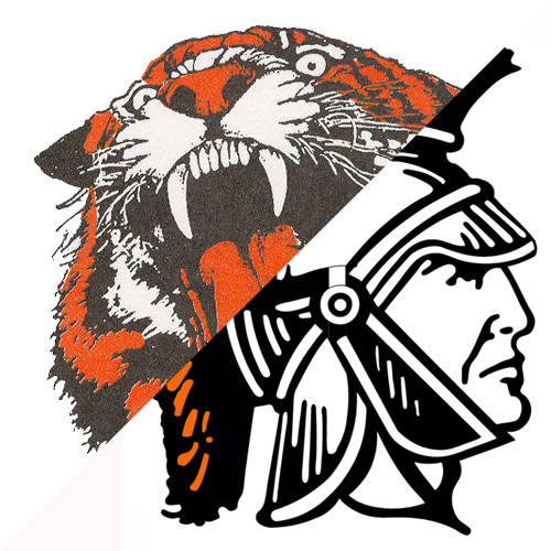 Versailles wrestling team wins OHSAA sectional championship