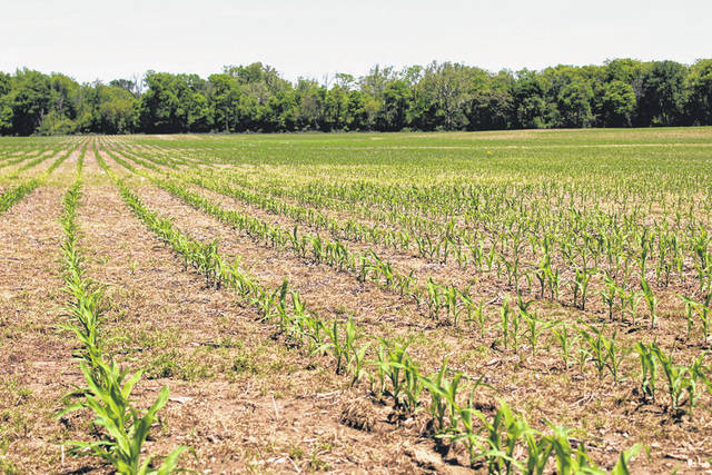 Spring planting nearing completion in Darke County