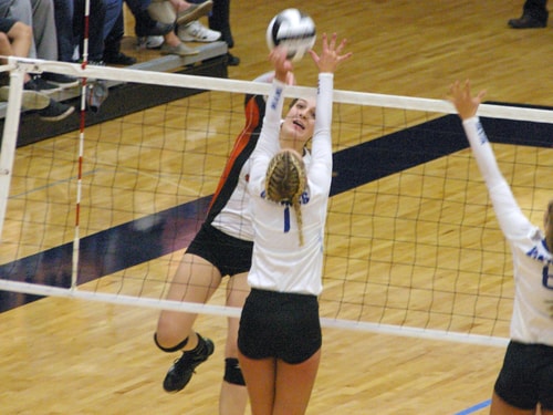 Versailles volleyball player Danielle Winner named 3rd team all-state by OHSVCA