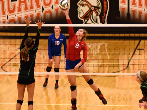 Catholic Central sweeps Tri-Village volleyball team in OHSAA sectional tournament