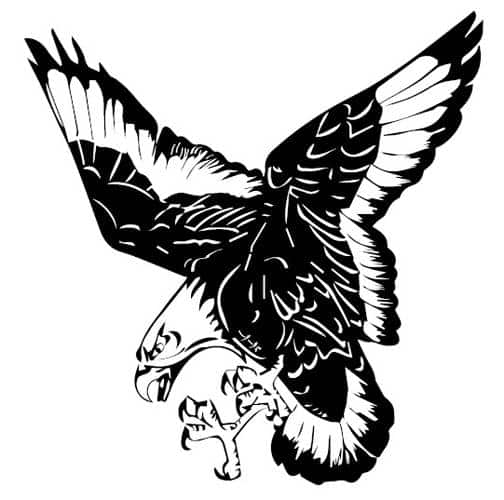 Mississinawa Valley volleyball team defeats Troy Christian