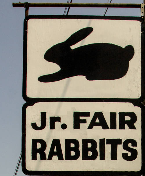No concern for illness at Darke County Fair rabbit barn