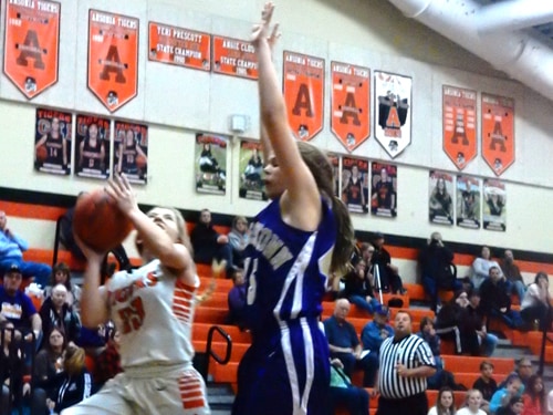 Ansonia girls basketball team falls in overtime to Hagerstown