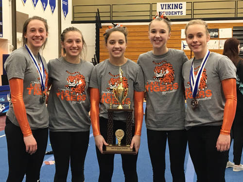 Versailles gymnasts finish as runner-up at Dayton City Championships