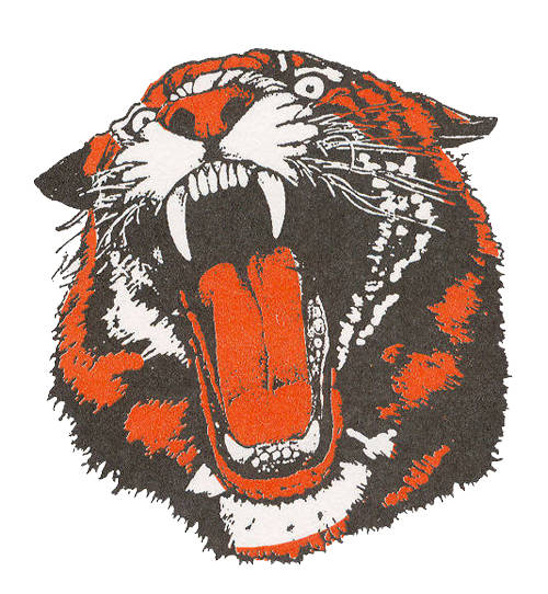 Versailles softball team shuts out Coldwater